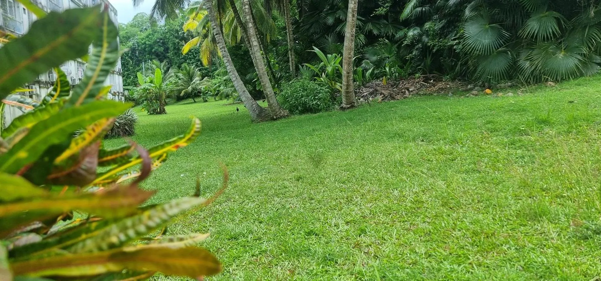 Eden Escale Premium Appartement Les Abymes Guadeloupe